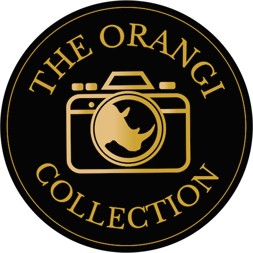 favicon orangi collection